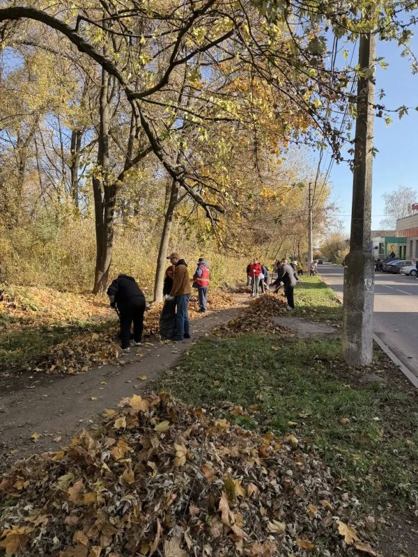 Чистота региона в наших руках Чистота региона в наших руках