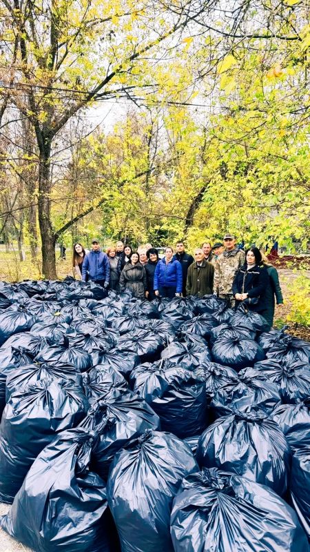 Сотрудники регионального Министерства сельского хозяйства и АНО «Центр компетенций в АПК Курской области» собрались вместе, чтобы убрать осеннюю листву, избавить газоны от сухих веток и бытового мусора
