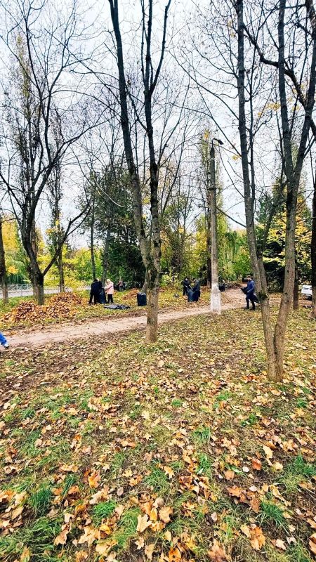 Сотрудники регионального Министерства сельского хозяйства и АНО «Центр компетенций в АПК Курской области» собрались вместе, чтобы убрать осеннюю листву, избавить газоны от сухих веток и бытового мусора Сотрудники регионального Министерства сельского хозяйства и АНО «Центр компетенций в АПК Курской области» собрались вместе, чтобы убрать осеннюю листву, избавить газоны от сухих веток и бытового мусора
