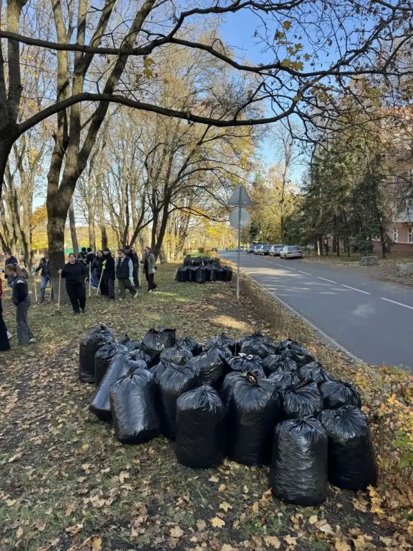 К субботнику присоединились сотрудники комитета ЖКХ К субботнику присоединились сотрудники комитета ЖКХ