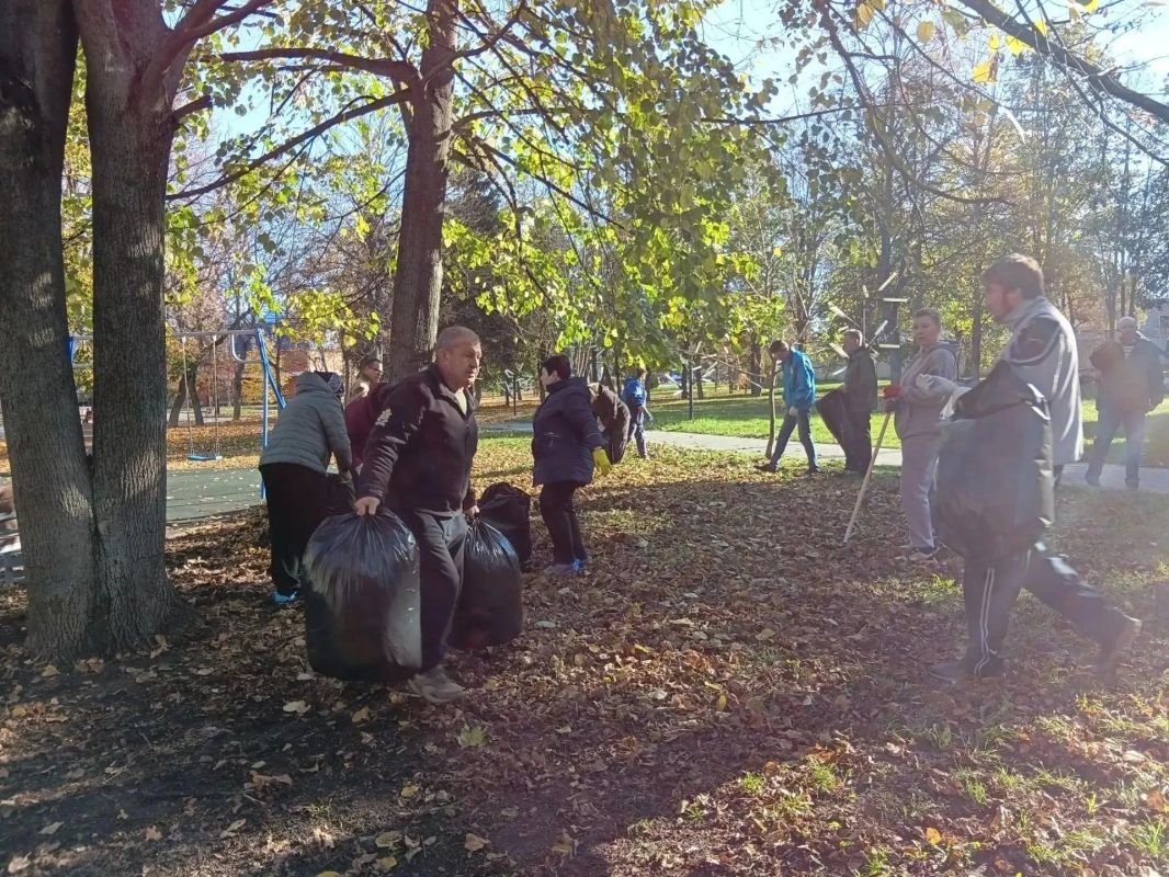 В парке Железнодорожников вовсю идёт уборка опавшей листвы В парке Железнодорожников вовсю идёт уборка опавшей листвы