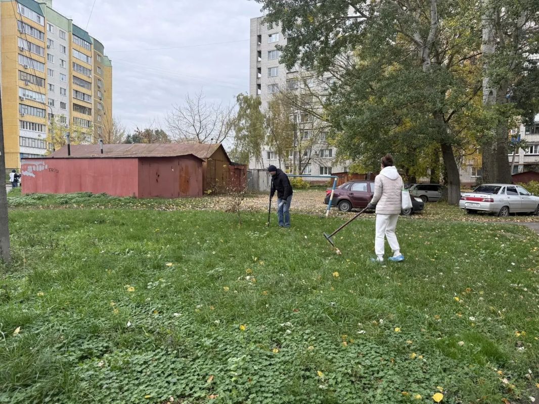 Осенью порядок сам себя не наведёт! Осенью порядок сам себя не наведёт!