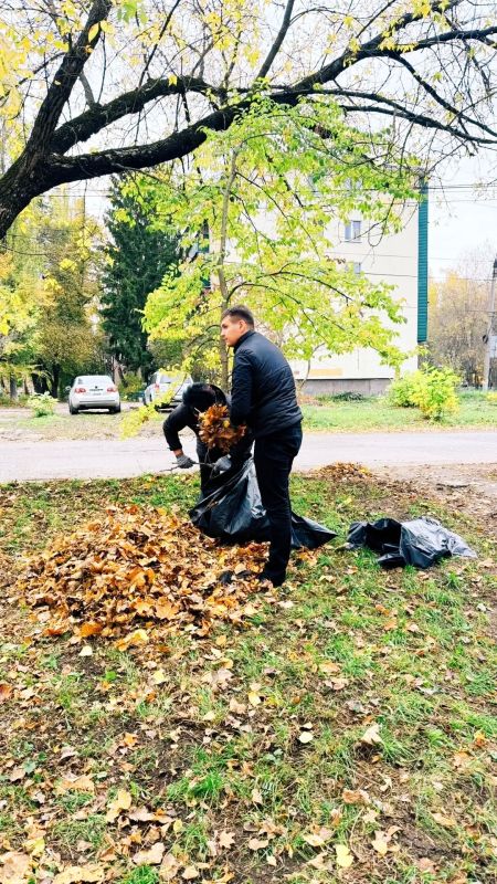 Сотрудники регионального Министерства сельского хозяйства и АНО «Центр компетенций в АПК Курской области» собрались вместе, чтобы убрать осеннюю листву, избавить газоны от сухих веток и бытового мусора Сотрудники регионального Министерства сельского хозяйства и АНО «Центр компетенций в АПК Курской области» собрались вместе, чтобы убрать осеннюю листву, избавить газоны от сухих веток и бытового мусора