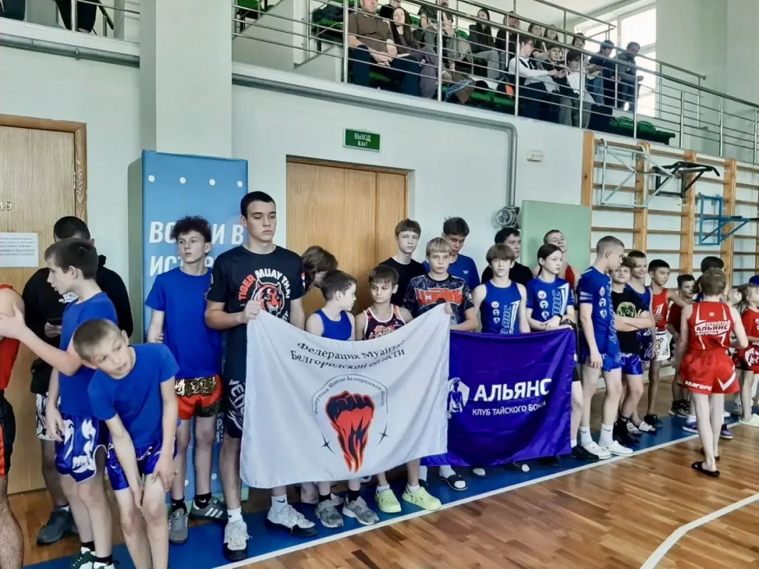 В Курске впервые за 7 лет прошел чемпионат по муай-тай В Курске впервые за 7 лет прошел чемпионат по муай-тай