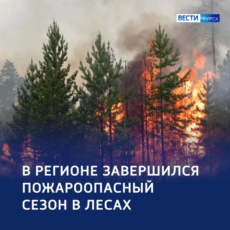 Опасность миновала: пожароопасный сезон в лесах региона официально завершён