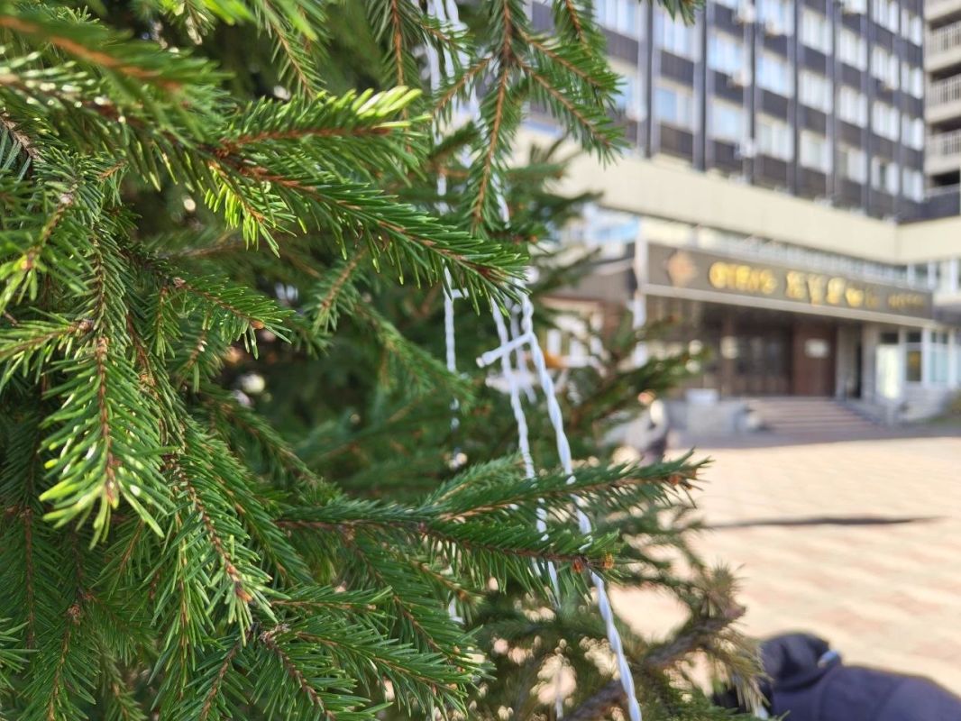 В Курске 27 октября появилась первая новогодняя ёлка В Курске 27 октября появилась первая новогодняя ёлка