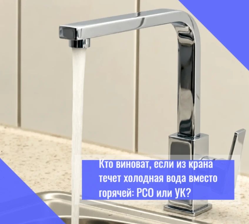 Ресурсоснабжающая организация (РСО) поставляет в дом воду, тепло, электричество, газ
