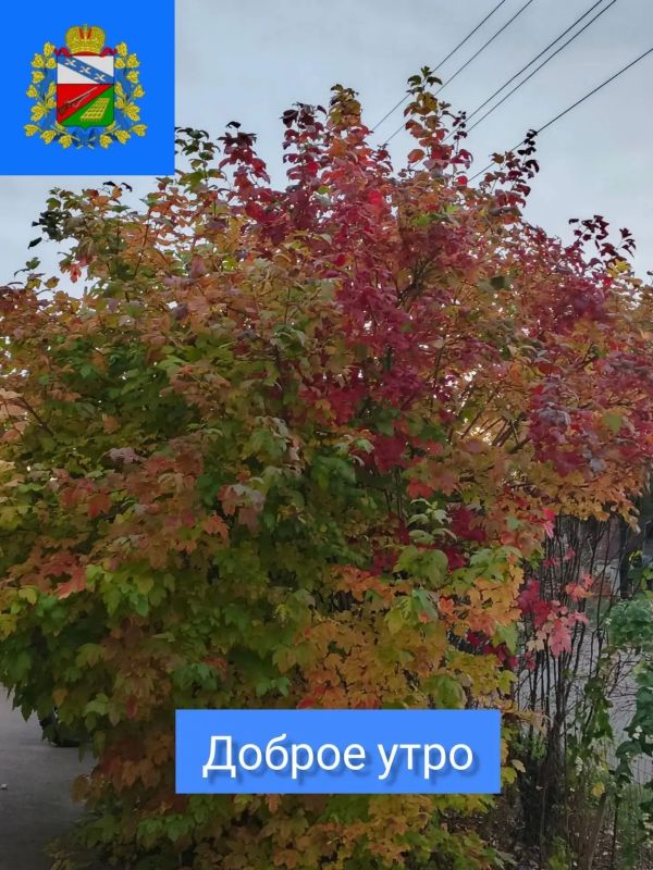 ДОБРОЕ УТРО. Удачного рабочего дня! Пусть всё намеченное идёт по плану, а неожиданные задачи решаются легко