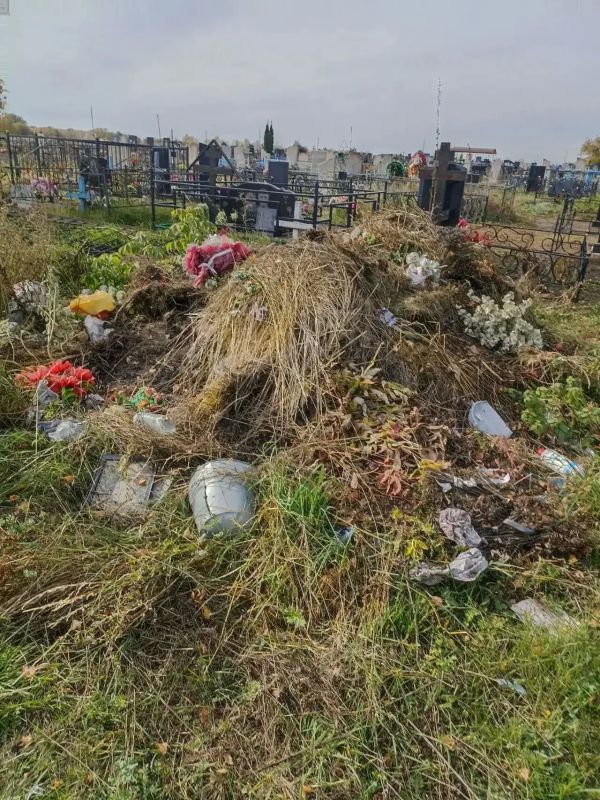 По искам прокуратуры суд обязал органы местного самоуправления ликвидировать шесть несанкционированных свалок По искам прокуратуры суд обязал органы местного самоуправления ликвидировать шесть несанкционированных свалок