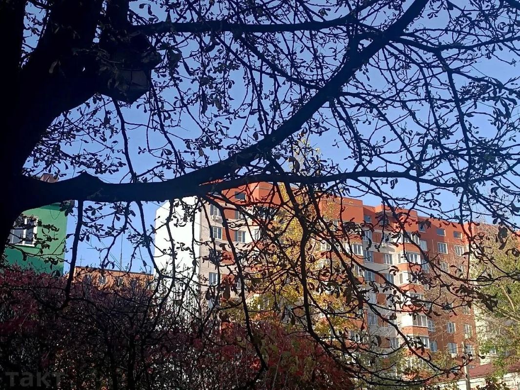 Доброе утро, куряне! Октябрь по-прежнему радует нас солнцем, впрочем, температура заметно снижается