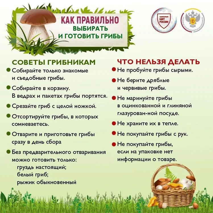 Грибы могут быть опасны!. Недостаточное знание видов грибов, отсутствие настороженности при сборе и употреблении в пищу условно съедобных грибов, несоблюдение технологии их переработки приводят грибников на больничную койку