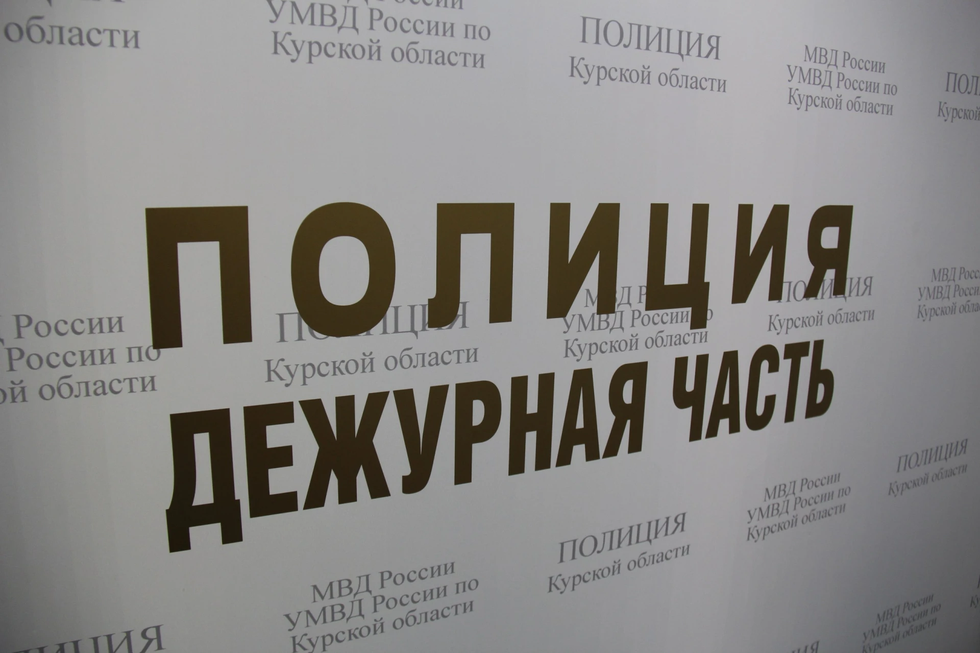 Обманутая петербурженка забрала у курской студентки 600 тысяч рублей