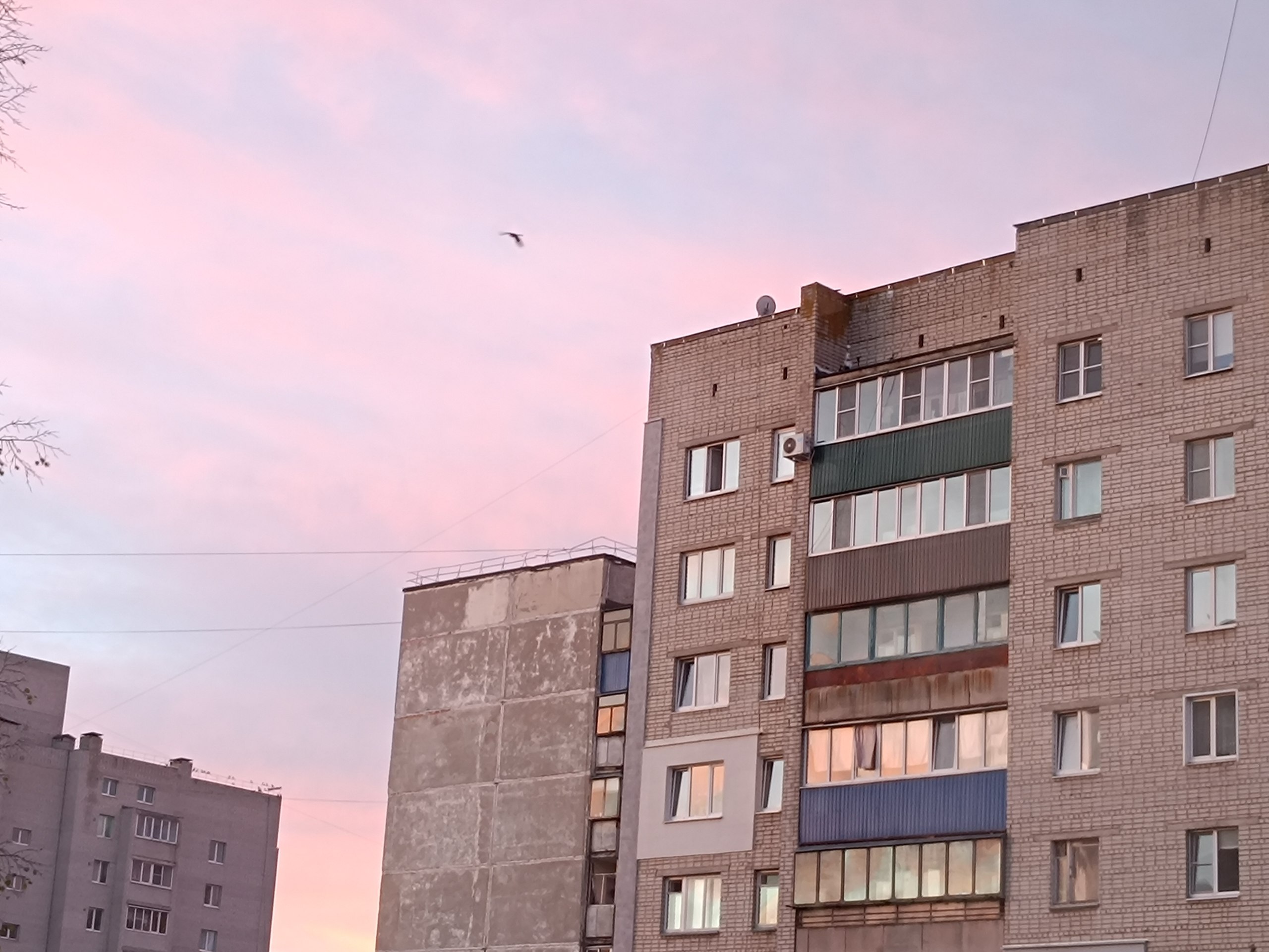 30 октября в Курской области будет до +16°, облачно и без осадков
