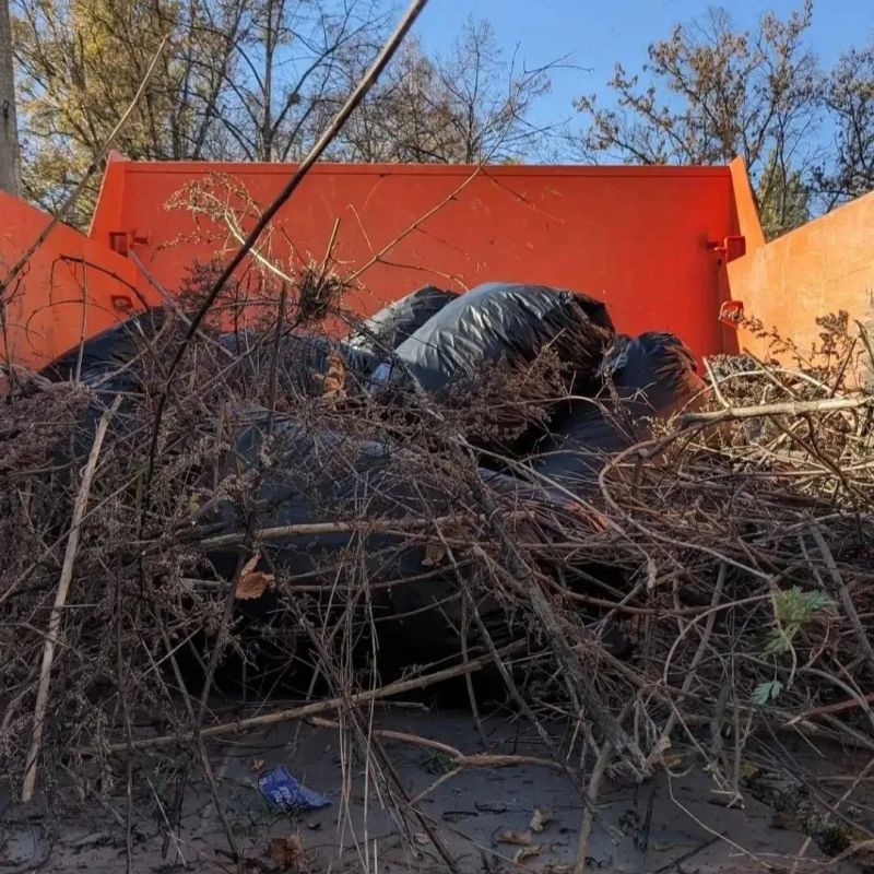 В рамках субботника в Курске собрали свыше 350 мешков мусора В рамках субботника в Курске собрали свыше 350 мешков мусора