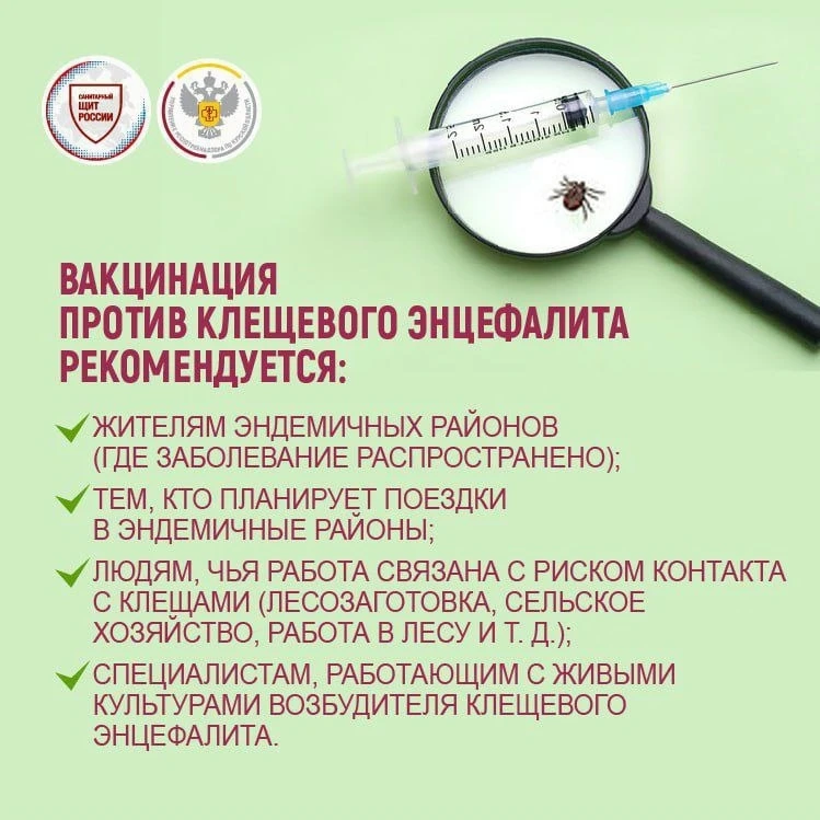 На территории Курской области клещевой вирусный энцефалит (КВЭ) не встречается, и организованной вакцинации от него нет, однако лицам, выезжающим на эндемичные территории - по роду профессиональной деятельности, на отдых, в...
