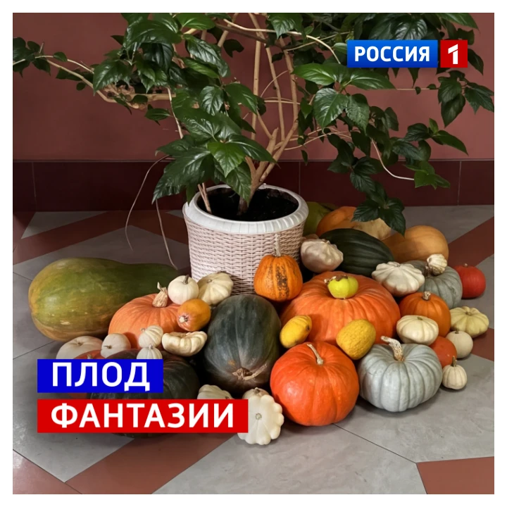 31 октября, суббота. Сегодня Тыквенный спас