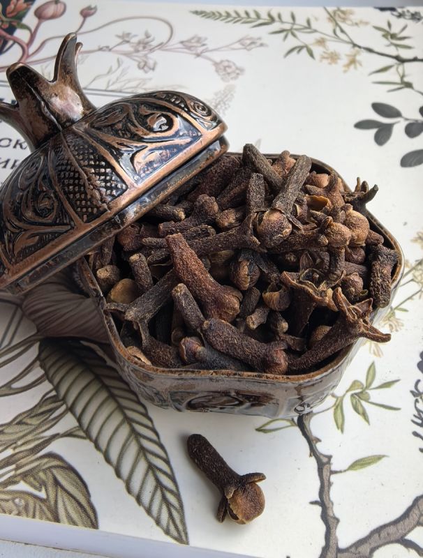 Гвоздика: неожиданная пряность с жарким характером и тайнами прошлого