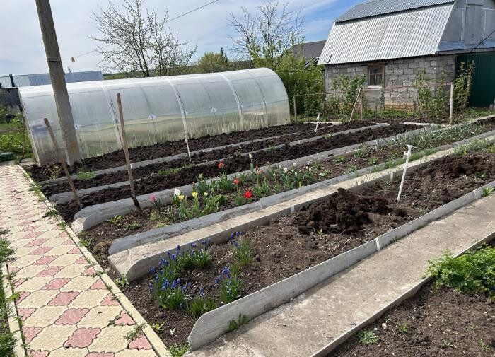 Неожиданное применение соды: как улучшить урожай на даче