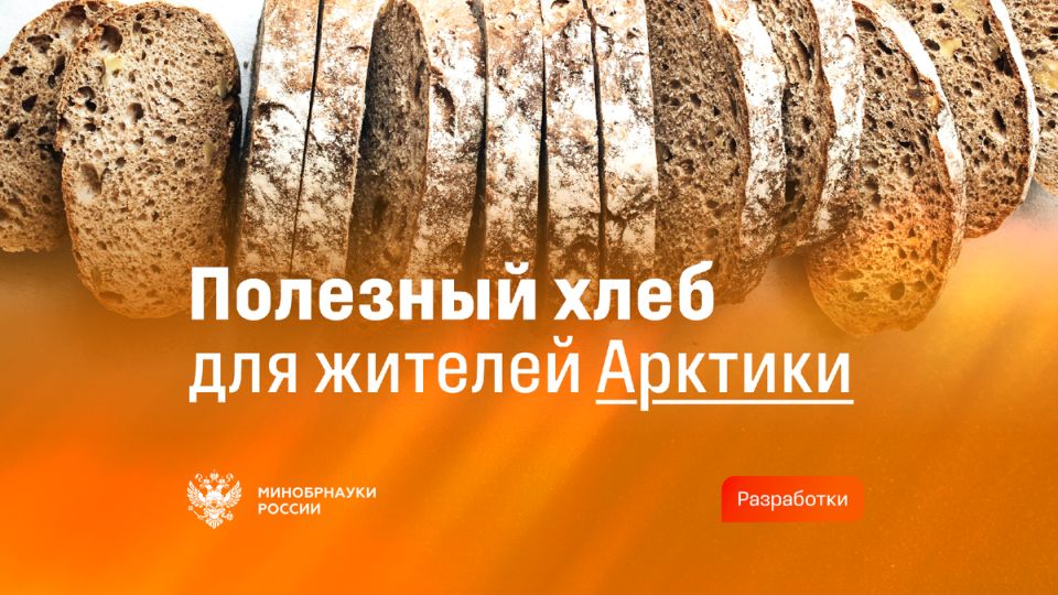 Новый хлеб для суровых условий Арктики: революция в питании