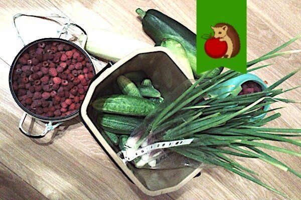 Оденем растения в новые названия: увлекательный тест для садоводов