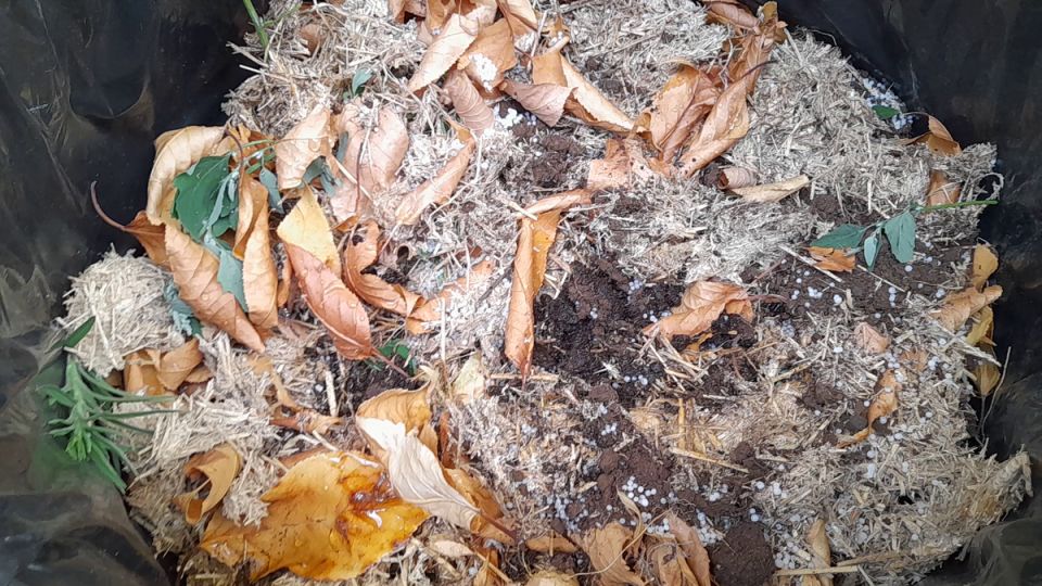 ��� ������ ������� �������: ������� ����������� ���������