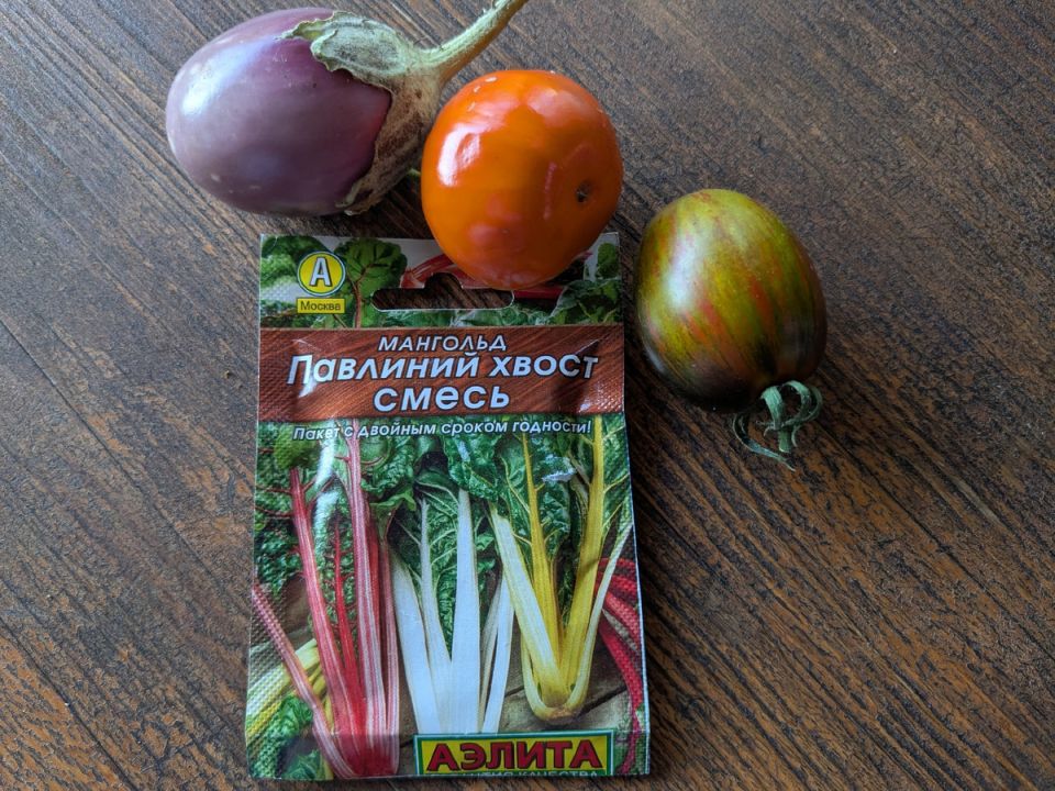 Огуречный рай или садовый кошмар: впечатления от мангольда и слизней