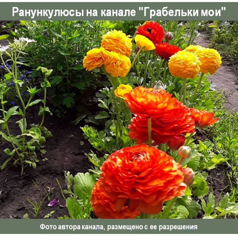 ������ ������������: ��� ���� ��� ���� �������� ��������� �������