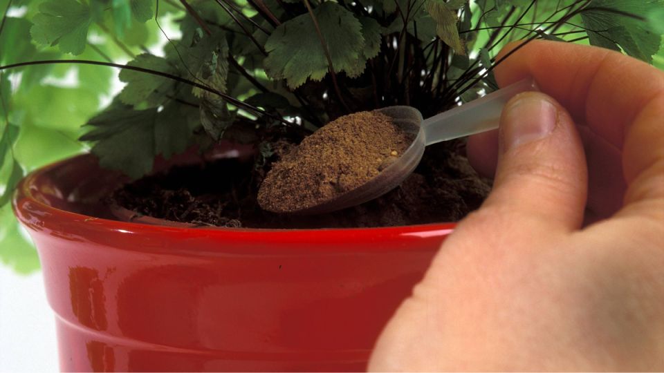 ������� ������ ��������� ��������� ��������: ��� ���������� � ������ � �������