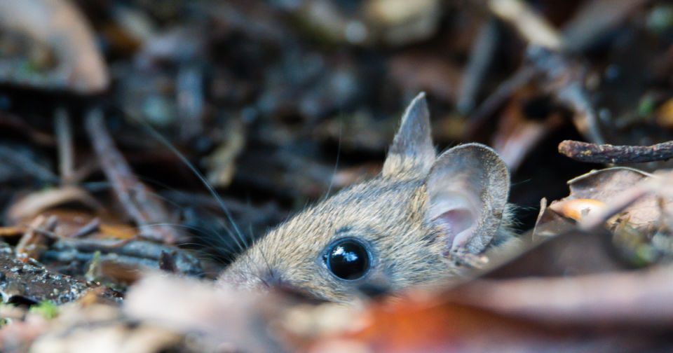 ������� � ��������������� �����: ��� ������� �������� �� ������ � �����������?