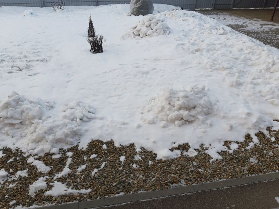 ����� ���� ����������: ��� ���������� � ������� ��� �����