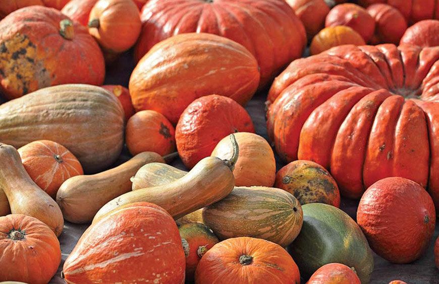 �����: ��������� ��������� � ������� ��������� ����������