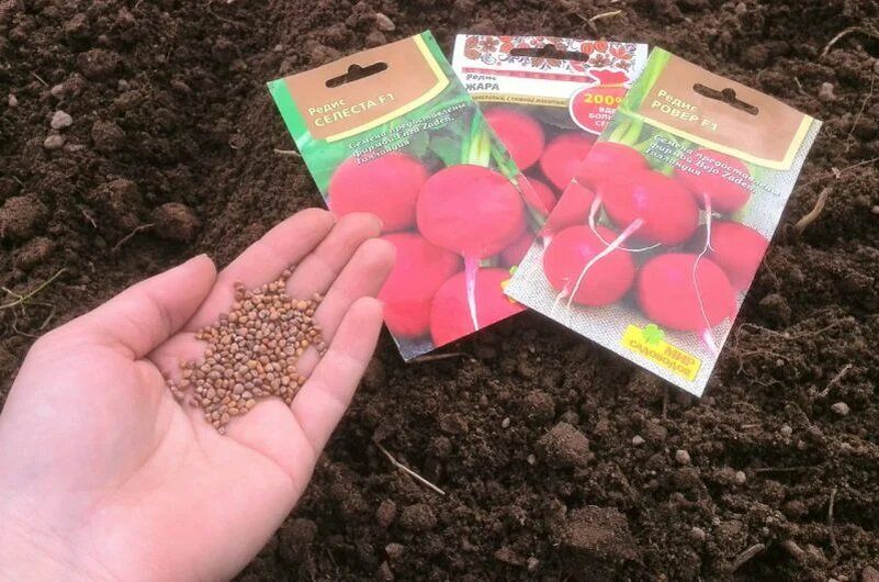 ����� ��������� ����������� ������: ��� ��� �� ����������