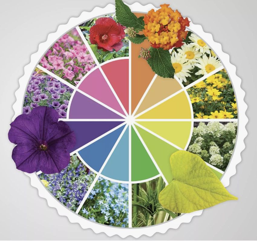 ��� ������� ����������� �������: ������� ���������� ��� ������������ ����