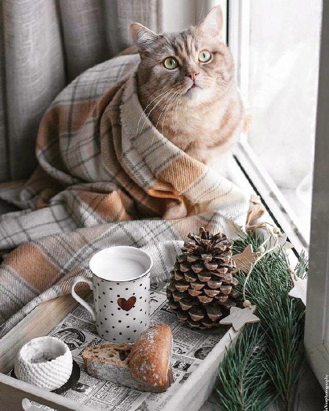 �������� ������: ��� ������� ���� �������� ������� � ������������ �����