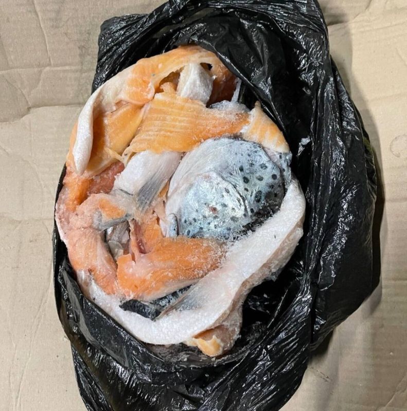 ����� �� ���������: �������� � �������� �������������