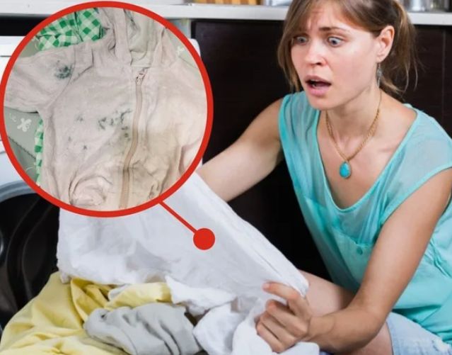 ������� �������: ��� ������� ���� ������ ����� ����� ������