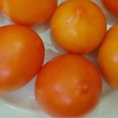 ����� ��� �����: ��� ������� ��������� ���� ��� ������ �������