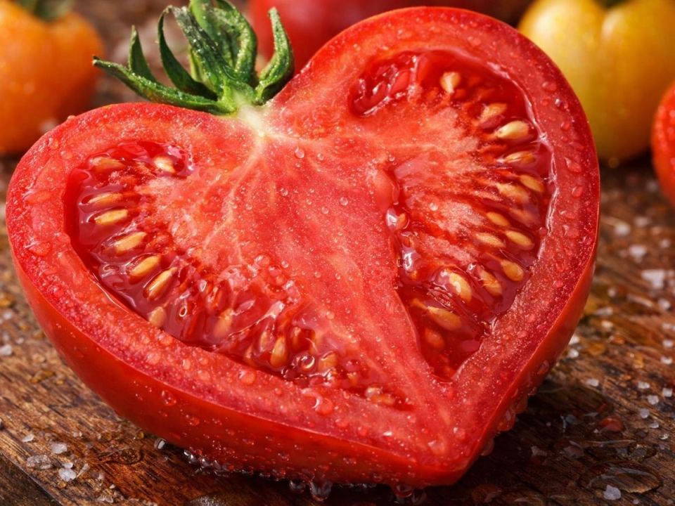 ������������ ������: ��� ��������� �� ��������� �����������