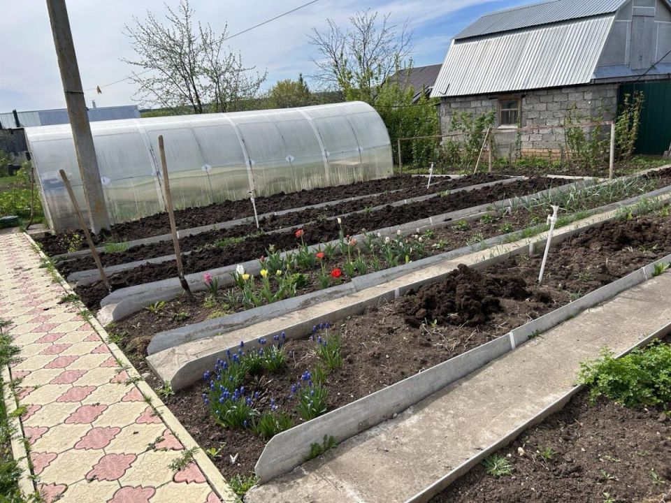 ���������� �� ��������� ��������: ��� ������� ������������ � ������ ���� � �����