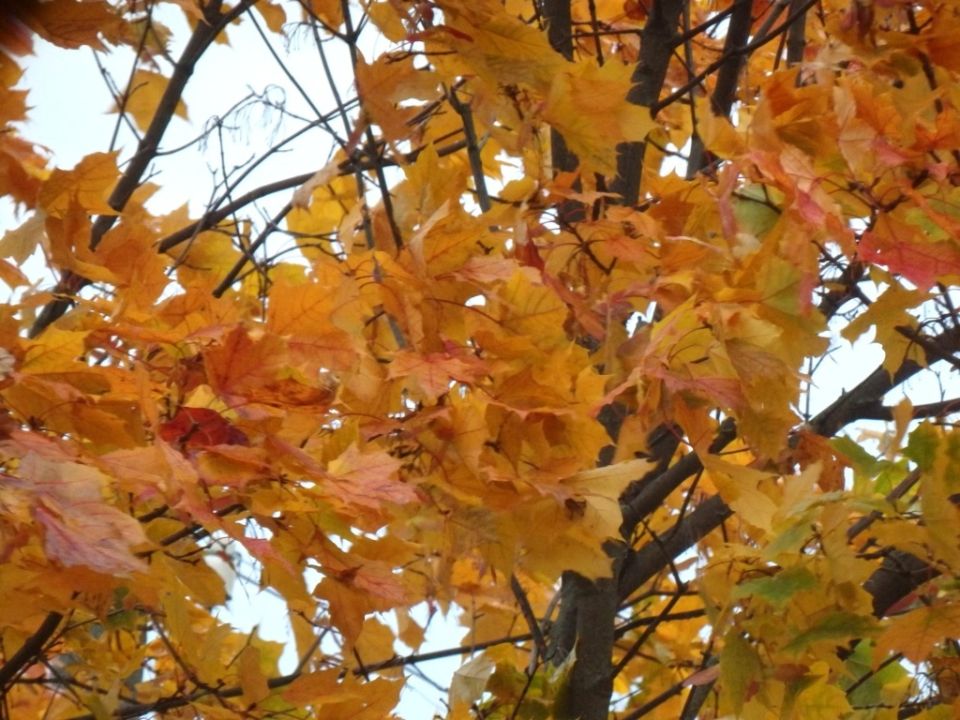 ������� ����� ������: ��������� ���� � ������� ������ �� �������