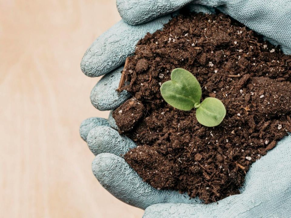 ������ ��������� �����: ������� ������ �� ����� ��� �������� ������