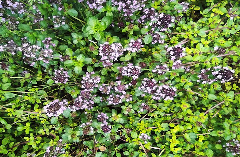 ��� � ��� ������� � ������� � ������ ��� ����� ����� ������� ����