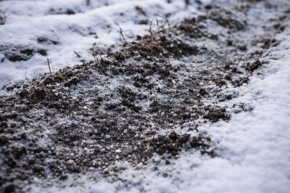Зимние мифы об удобрениях и реальная работа почвы