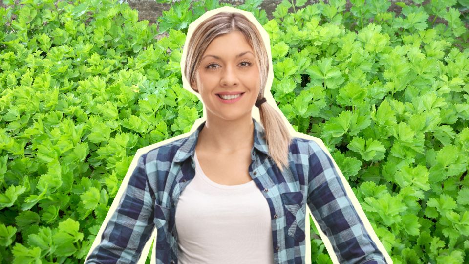 ����� ������ �������� ��� � �� ������: ��� ��� ���� ����� � ��� ��������