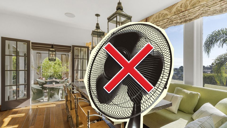 ��� ������ ������ ���� ����� �����������: �������� ���� ����������