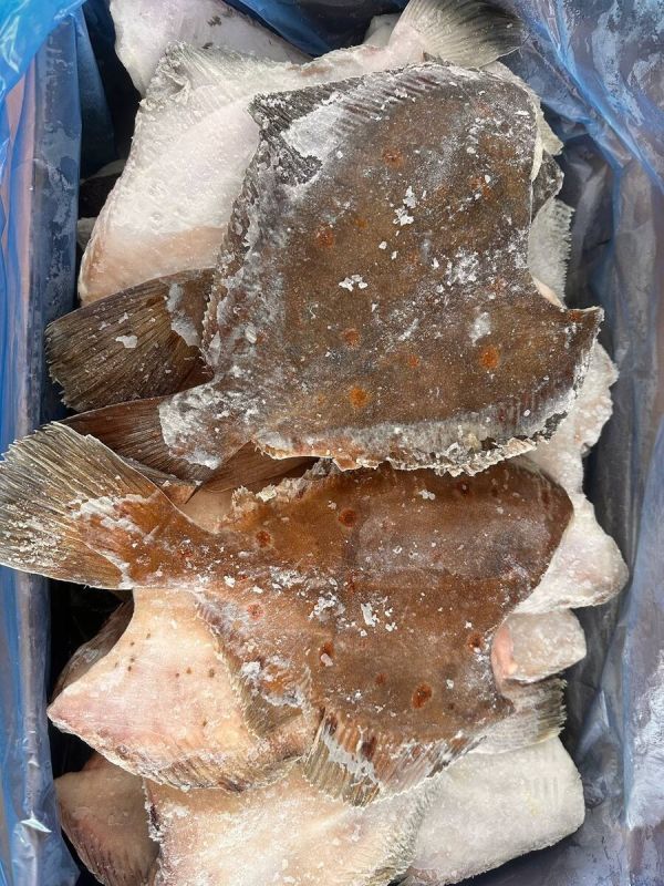 ������� ������������: ������� �������� �� ��������� ����