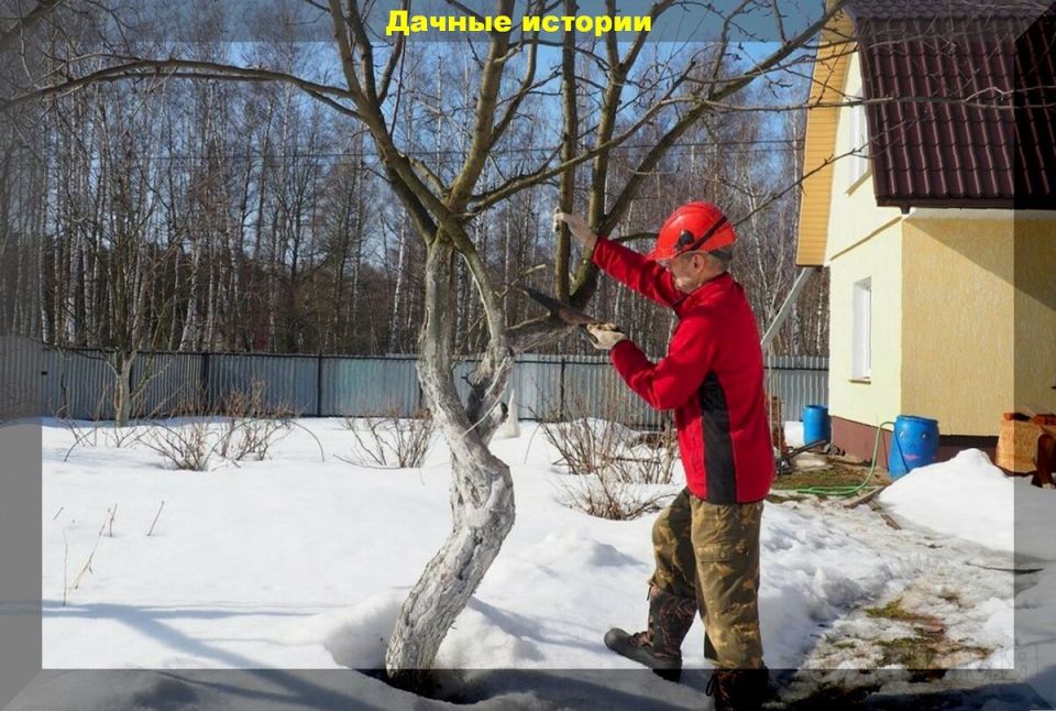 Как подготовиться к дачному сезону: советы для февральских дел