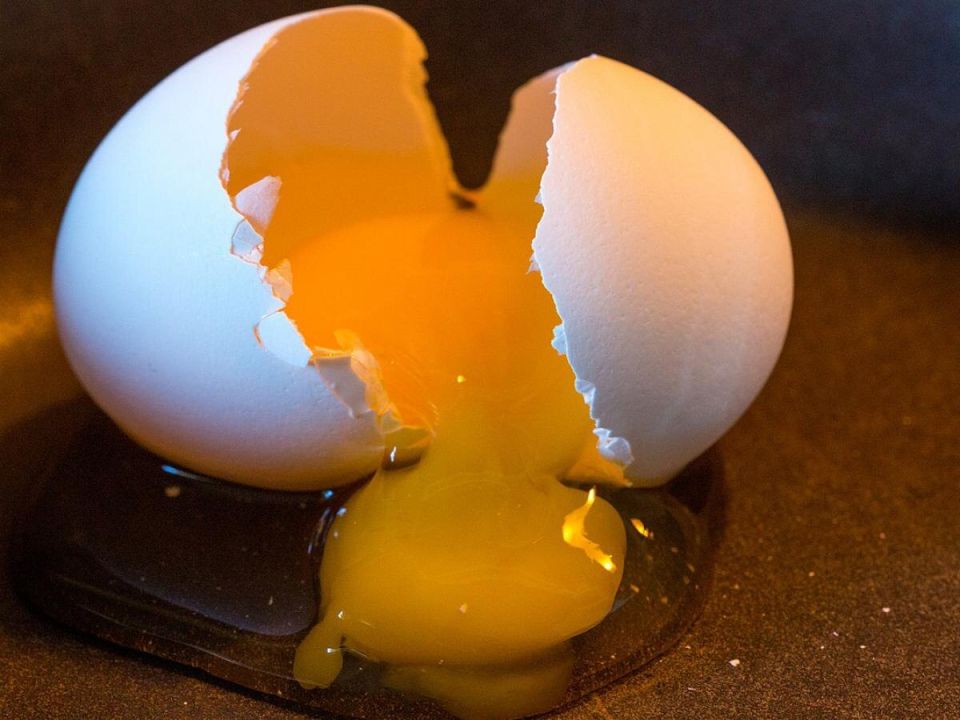 ��������, ������� �� ����� �������� � ������ ���������: ����������� ����������� �� ���