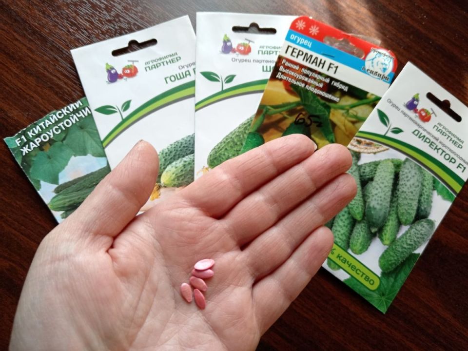 ������� ��������� ������: ��� �������� ��� ������� �������