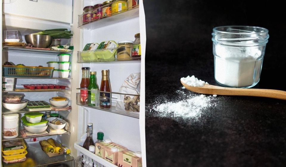 ��� �������� ����������� ��� ����� ����� �� ��� �����������